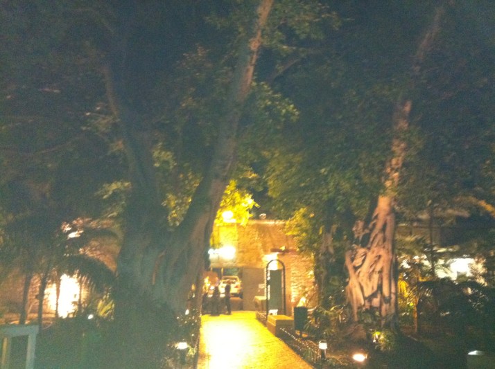 פסטיבל ימי ענף הזית בעכו