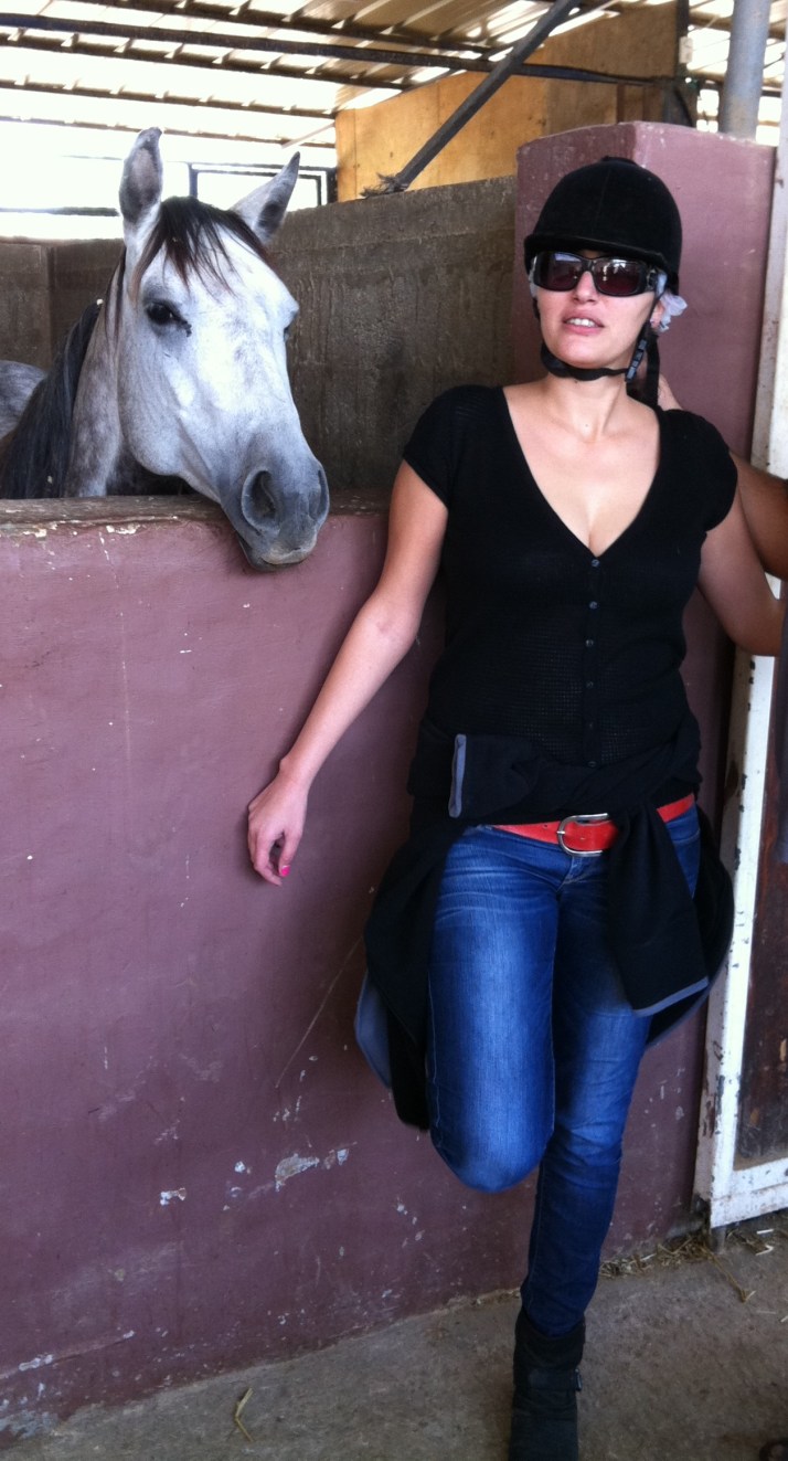 ורד הגליל חוות סוסים