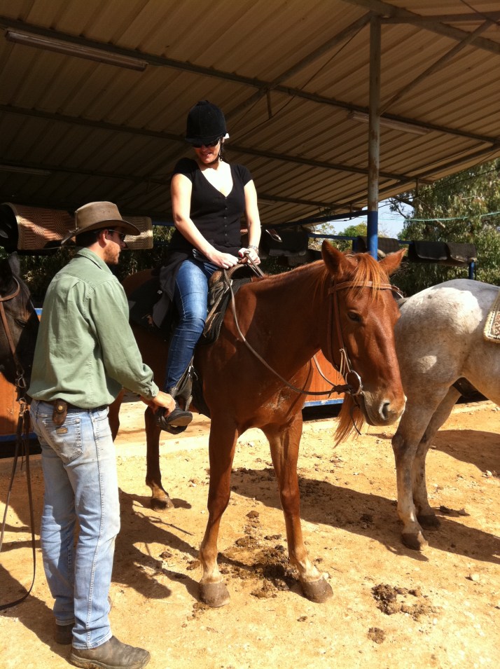 ורד הגליל חוות סוסים