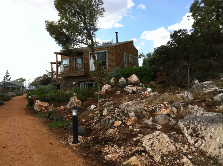 ורד הגליל סוויטה