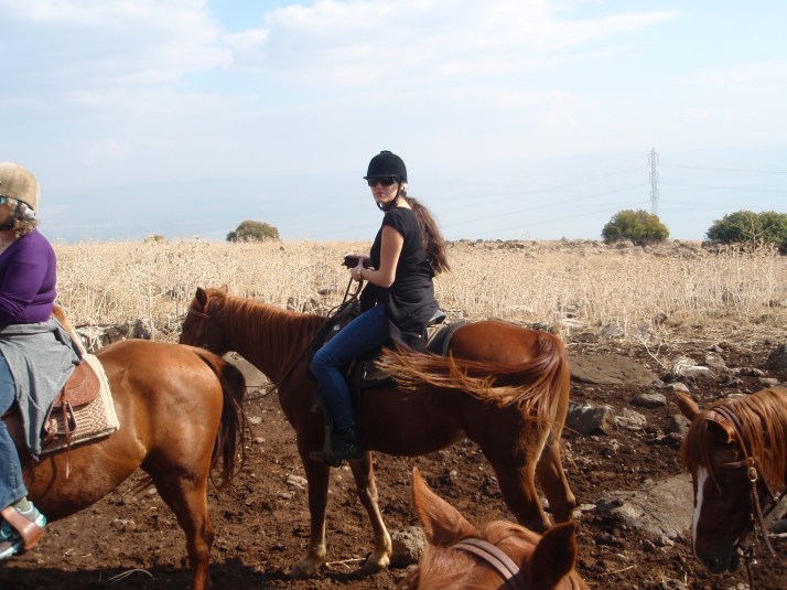 ורד הגליל חוות סוסים