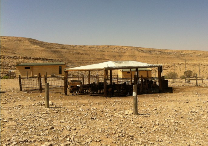 דרך היין רמת הנגב חוות נאות