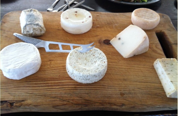 דרך היין רמת הנגב חוות נאות