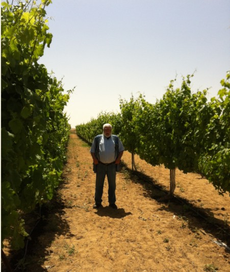 דרך היין רמת הנגב חוות א.ש.ב.א