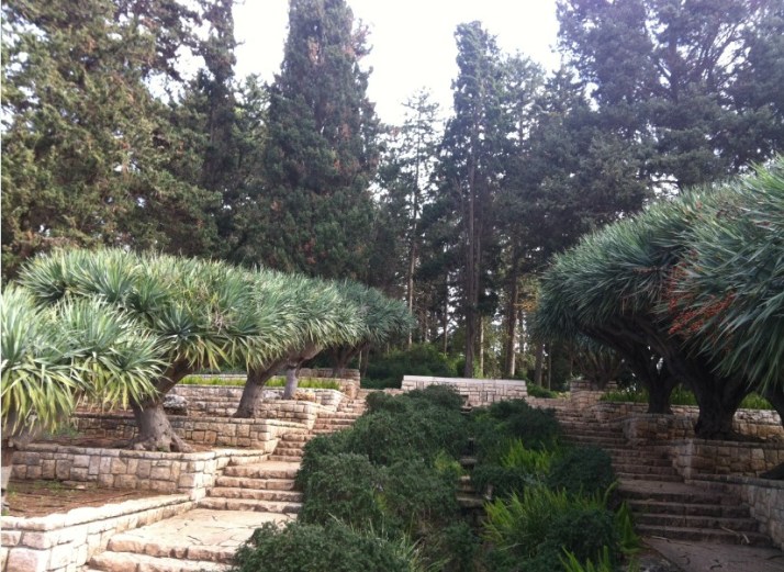 מטעים רמת הנדיב