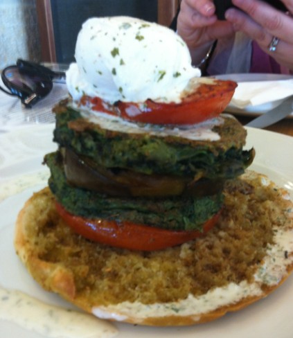 מטעים רמת הנדיב