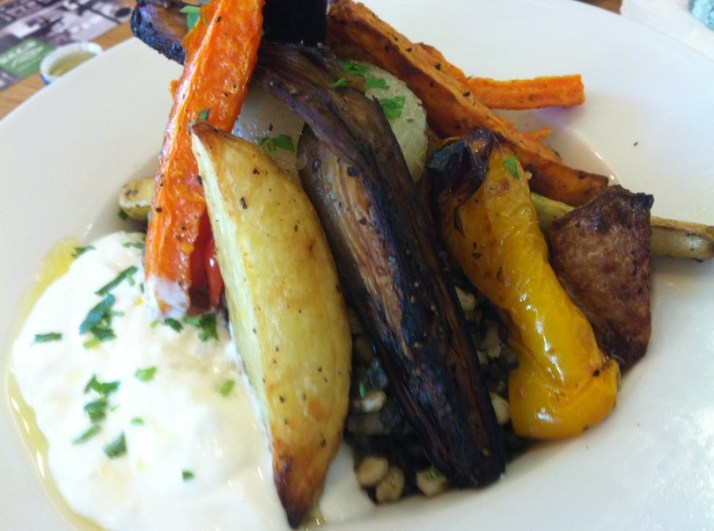 מטעים רמת הנדיב