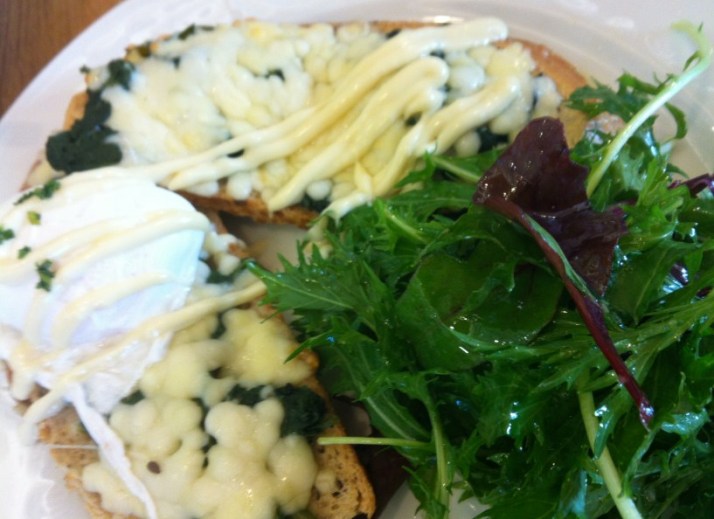 מטעים רמת הנדיב