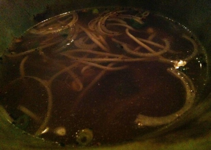 Vong וונג מסעדה ויאטנמית חדשה בת"א