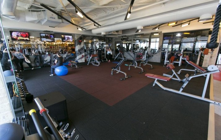 אימון מכשירים גרייט שייפ סניף שבעת הכוכבים הרצליה