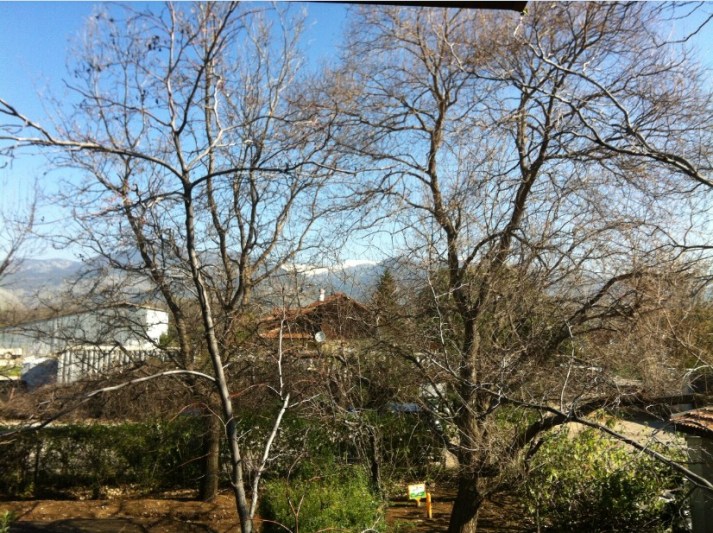 מלון בוטיק פאוזה שאר ישוב