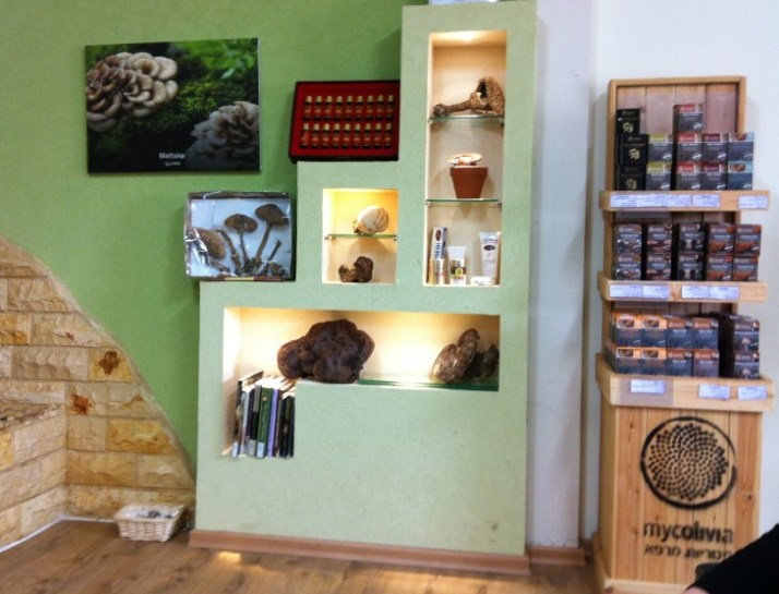 פטריות מרפא מיקוליביה