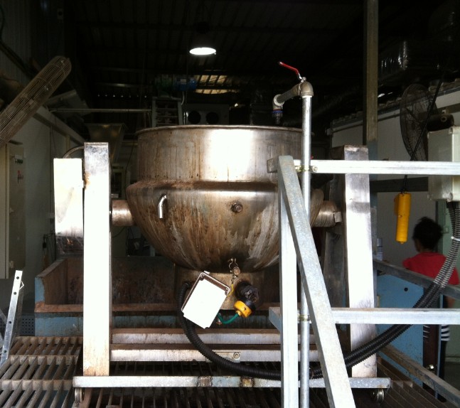 פטריות מרפא מיקוליביה