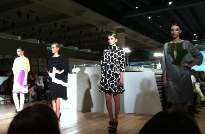 מעצבי אופנה בויה ארקדיה