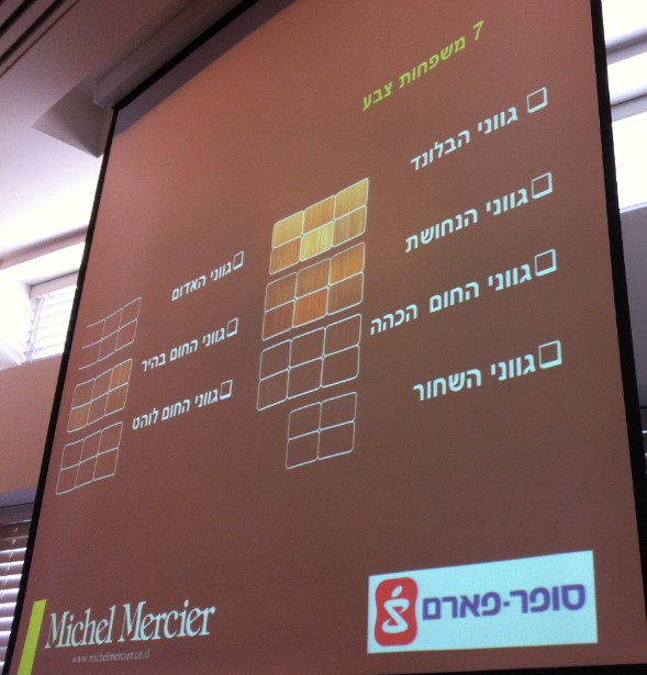  S.O.S Color Recover מבית מישל מרסייה