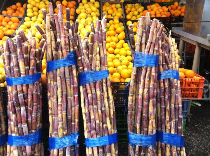 טיול קולינרי בנצרת עם גיל להב