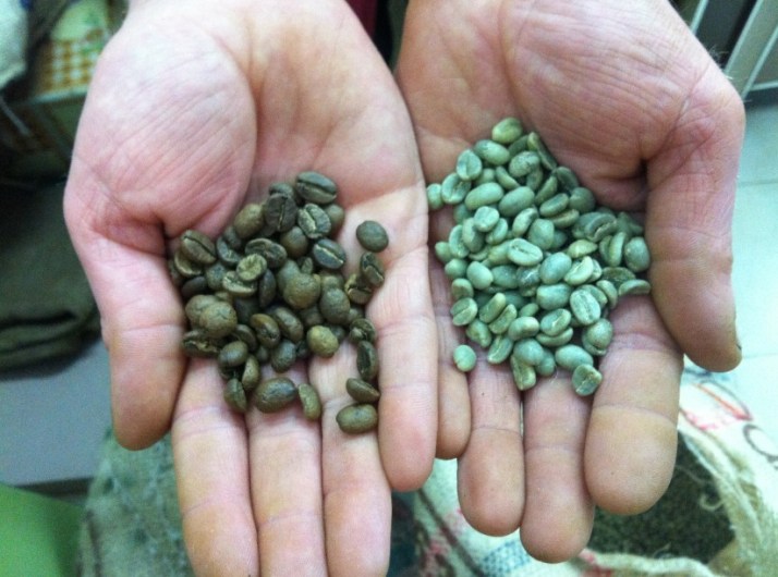 ביקור בכנסיית סנט גבריאל בנצרת