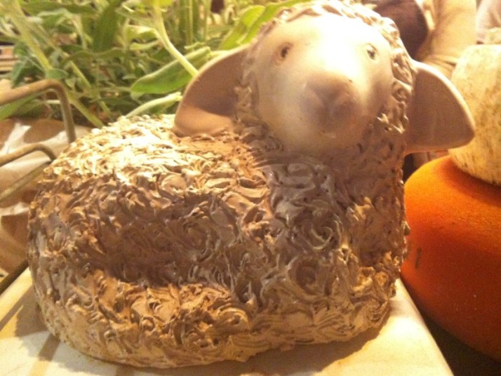 בר מארץ היין בנמל ת"א יקב רמת הגולן