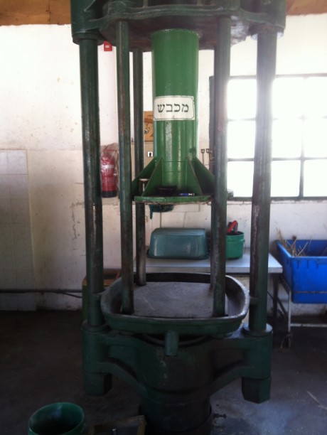 מוזיאון החצר הישנה בקיבוץ עין שמר 