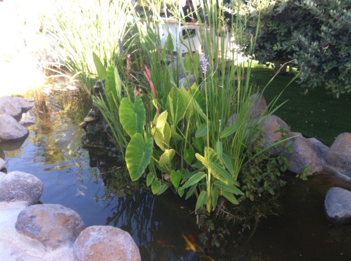 אקויה ספא - חווית פינות מושלמת - Akoya