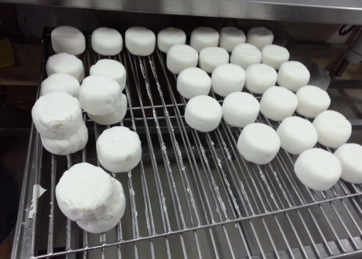 סיור במשק יעקבס כפר הרא