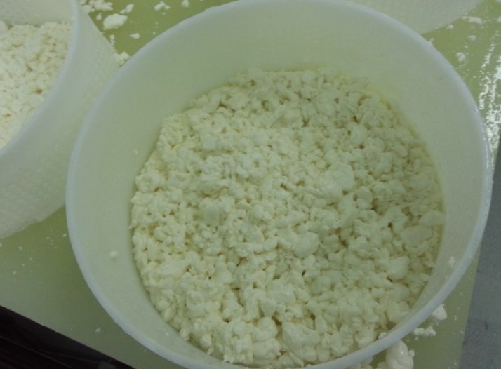 סיור במשק יעקבס כפר הרא