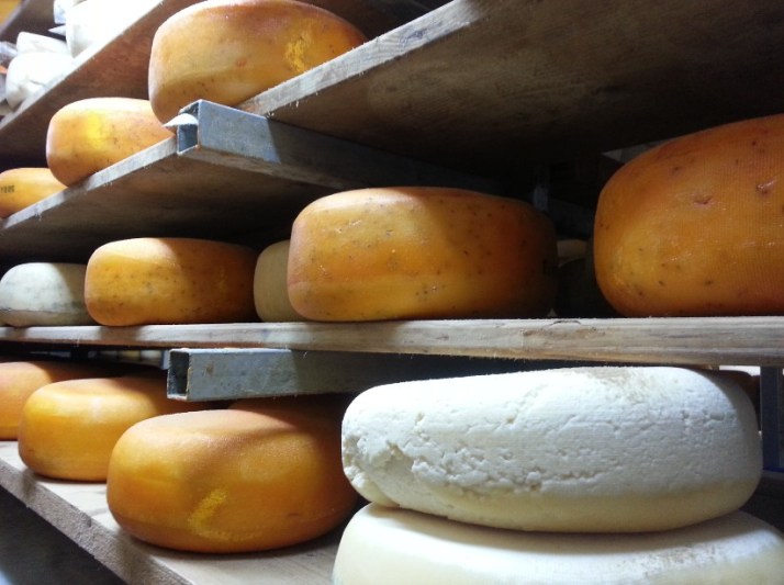 סיור במשק יעקבס כפר הרא