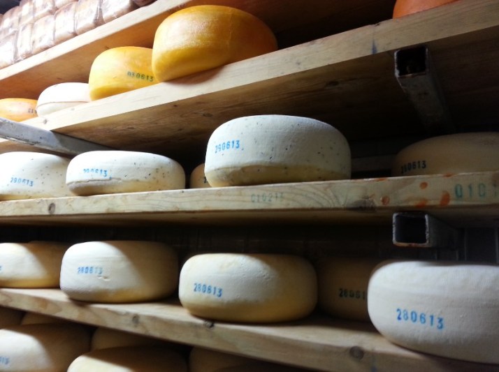 סיור במשק יעקבס כפר הרא