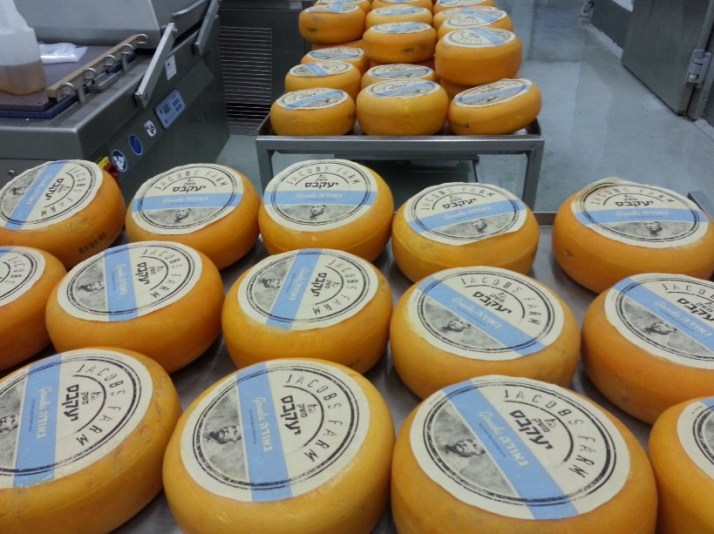 סיור במשק יעקבס כפר הרא