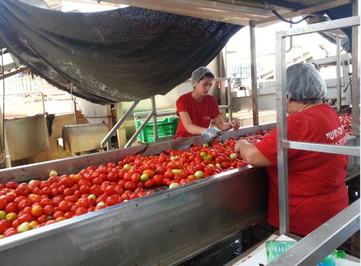 סיור במפעל זלנכל = יכין