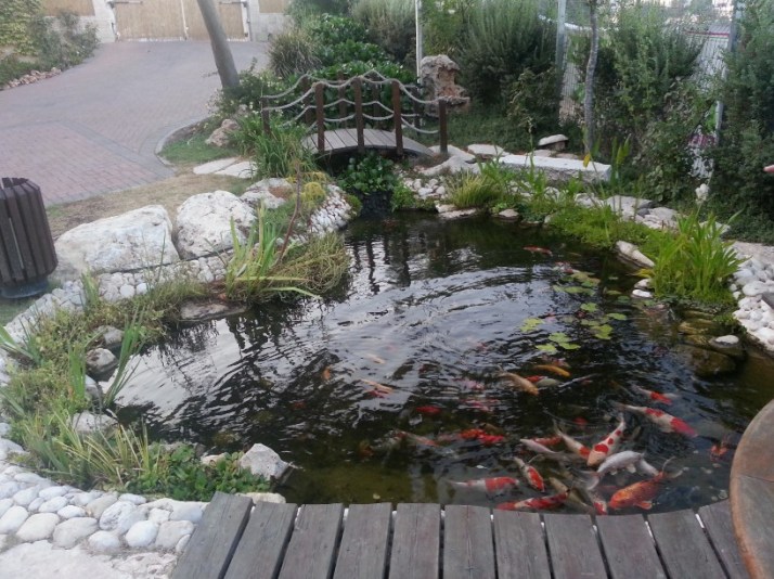 על עמותת זכרון מנחם ואירועי התרמת שיער בחסות פנטן