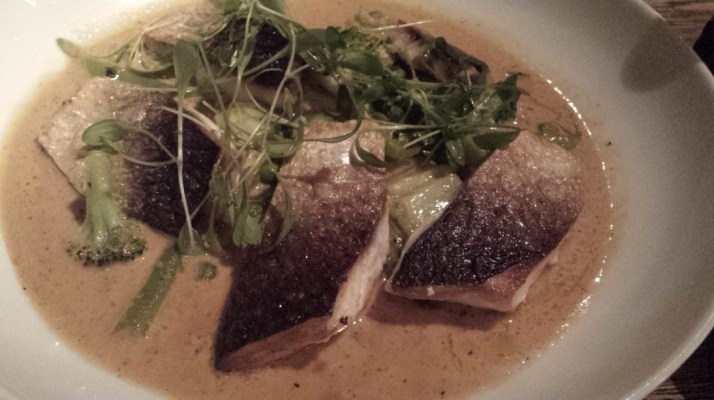 Yum Cha - האסיאתית של יענקלה שיין