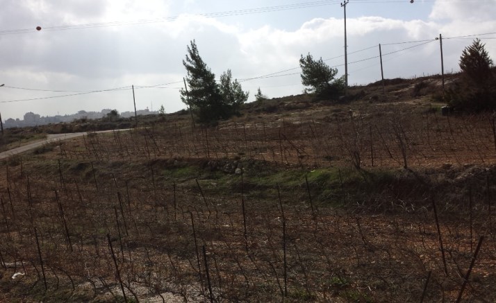 ביקור ביקב פסגות