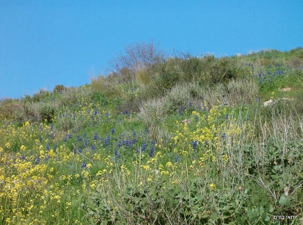 שישי בשטח עם אתר טיולי וקפה טורקי עלית