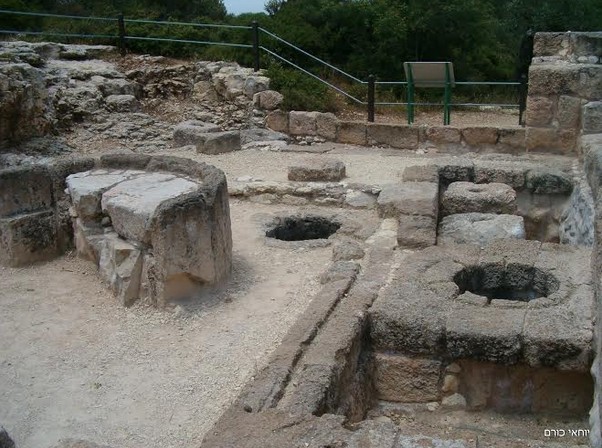 שישי בשטח עם אתר טיולי וקפה טורקי עלית