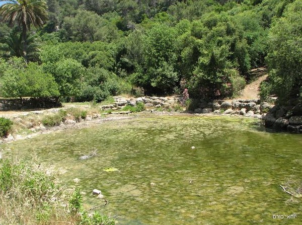 שישי בשטח עם אתר טיולי וקפה טורקי עלית
