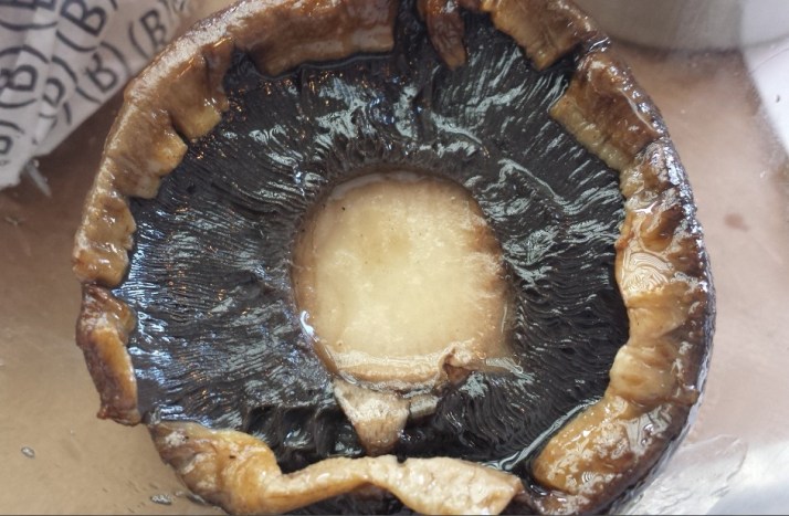 השקה מחדש של סניף הדגל של רשת בורגרס בר במושבה הגרמנית בירושלים