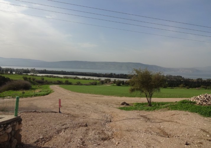 פסטיבל טעם כנרת 2014 בין התאריכים 16-27/12