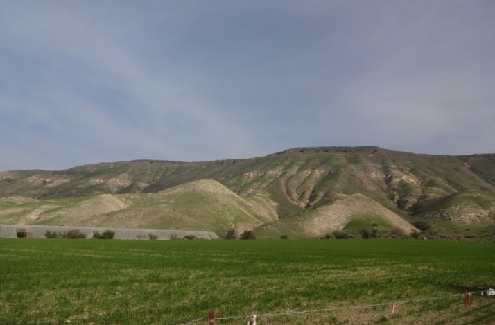 פסטיבל טעם כנרת 2014 בין התאריכים 16-27/12