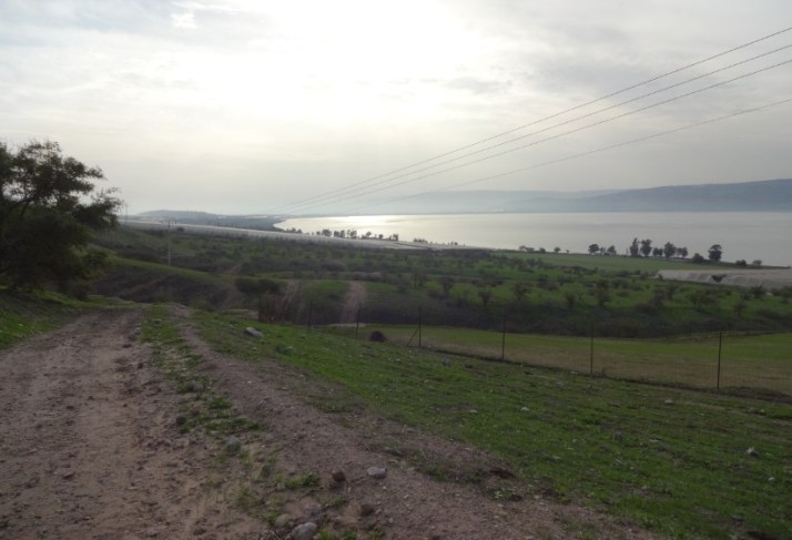 פסטיבל טעם כנרת 2014 בין התאריכים 16-27/12