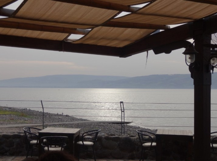 פסטיבל טעם כנרת 2014 בין התאריכים 16-27/12