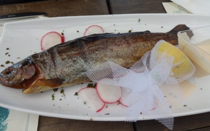 פסטיבל טעם כנרת 2014 בין התאריכים 16-27/12