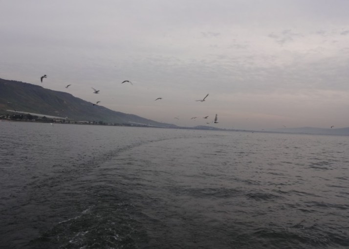 פסטיבל טעם כנרת 2014 בין התאריכים 16-27/12