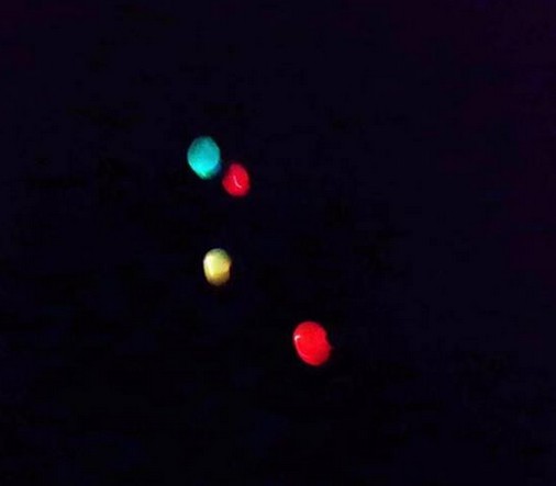 פסטיבל טעם כנרת 2014 בין התאריכים 16-27/12