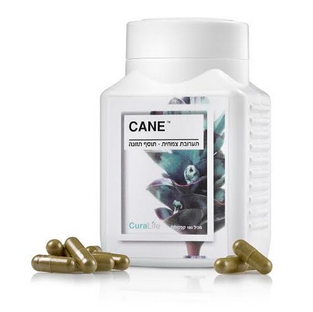 חברת Curalife משיקה בישראל את CANE - תוסף תזונה המסייע לגוף באיזון הפרופיל הסוכרתי, מבוסס על תורת האיורוודה ההודית