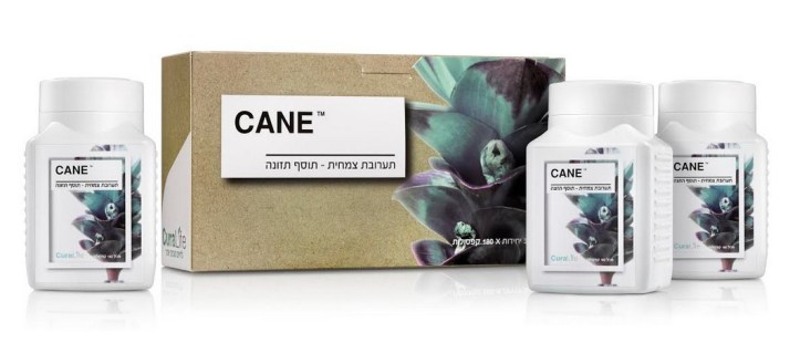 חברת Curalife משיקה בישראל את CANE - תוסף תזונה המסייע לגוף באיזון הפרופיל הסוכרתי, מבוסס על תורת האיורוודה ההודית