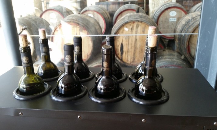 יום כיף בשפלת יהודה