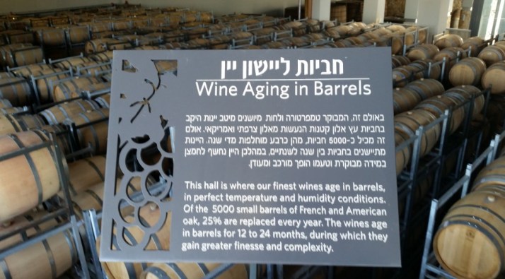 יום כיף בשפלת יהודה