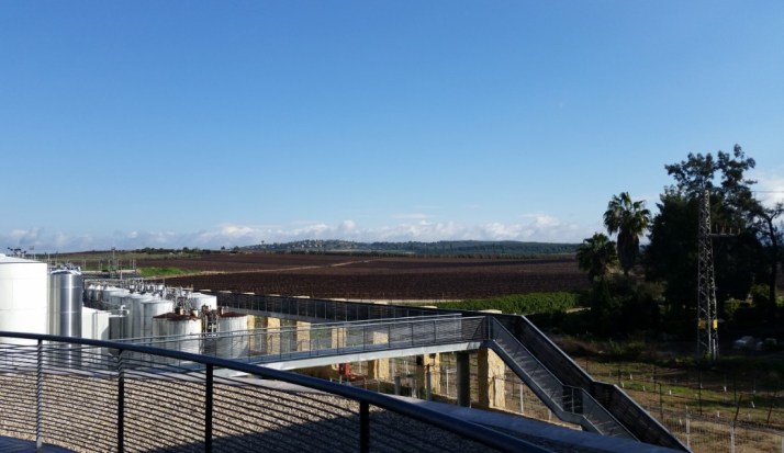 יום כיף בשפלת יהודה