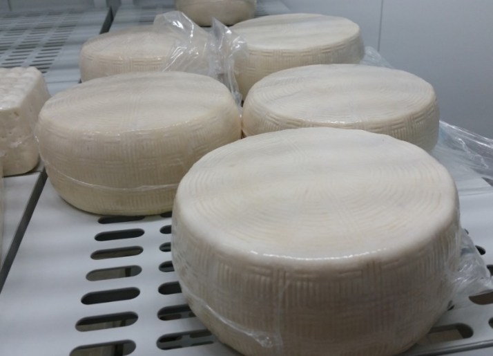 יום כיף בשפלת יהודה